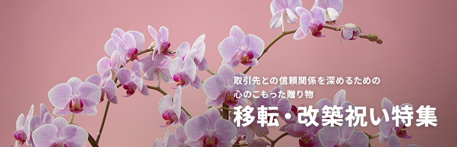 移転・改築祝いイメージ
