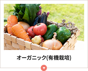 有機玄米せんべい KOMETE